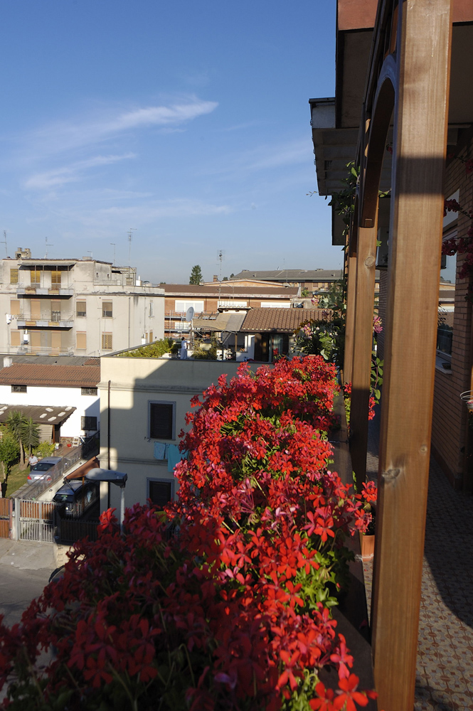 DSC_2068_edited-1