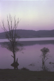 001019_edited