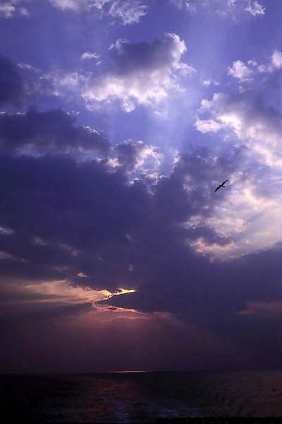 058011_edited