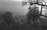 a1952_bw0141